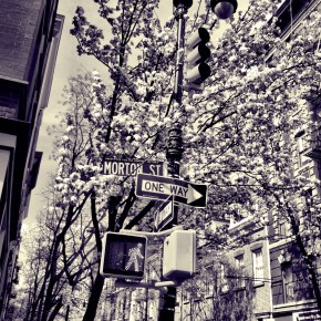 Bittersweet Farewell:  Domaine Mittnacht-Klack&nbsp;Edelzwicker